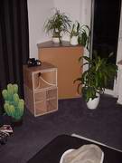 pic04