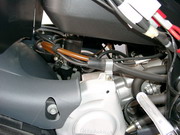 pic10